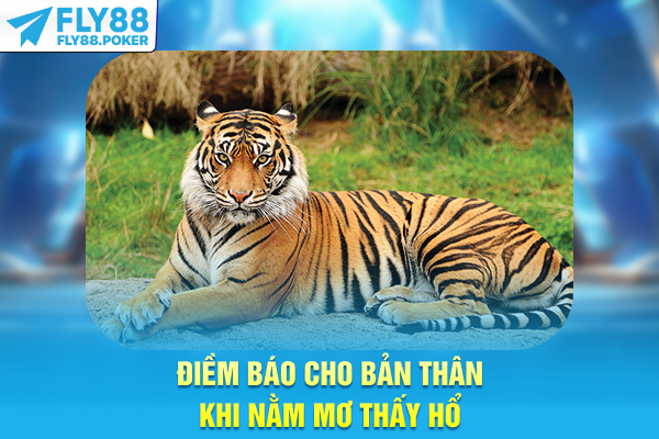 Điềm báo cho bản thân khi nằm mơ thấy hổ