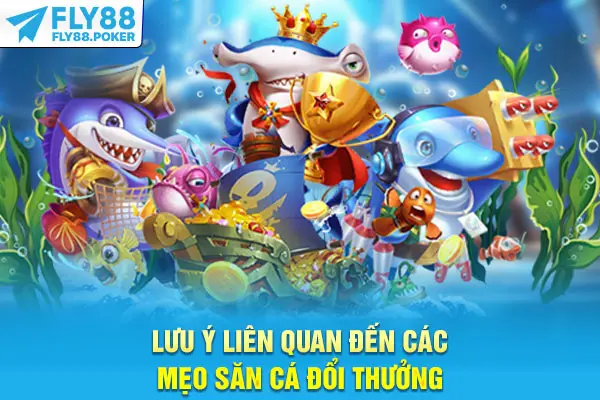 Lưu ý liên quan đến các mẹo săn cá đổi thưởng